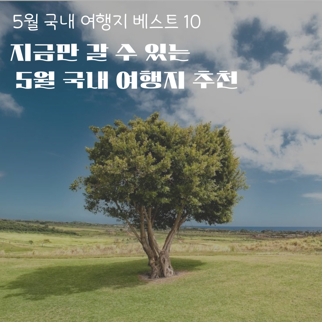 5월 국내여행지 베스트 10