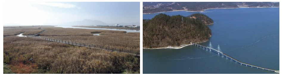 강진 강진만~출렁다리 자전거길