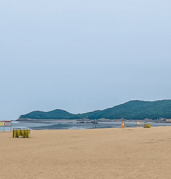 인천_무의도_가는길