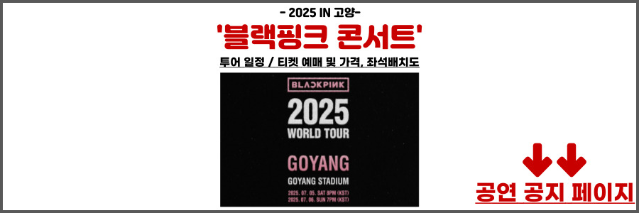 블랙핑크 콘서트
