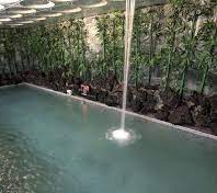 북수원 온천 완벽 가이드3