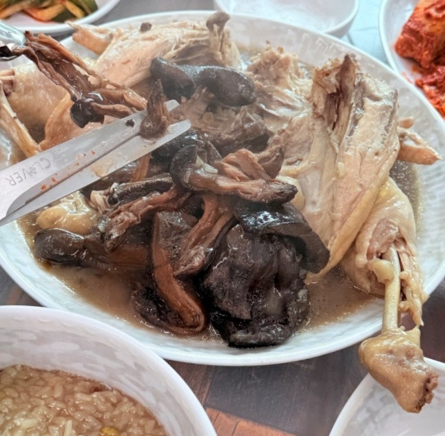 청송-달기약수-백숙-대구식당