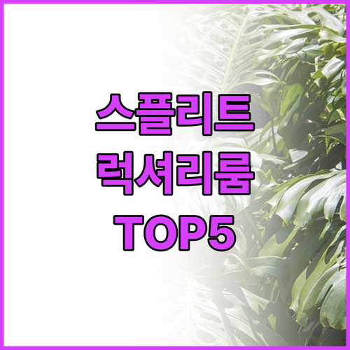 크로아티아 스플리트 숙소 위치와 서비..