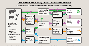 긴급복지지원사업 신청 대상과 지원 방법 정리