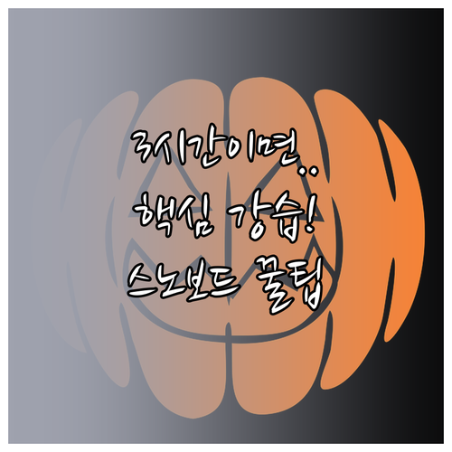 스노보드 독학 대신 강습 3시간으로 ..