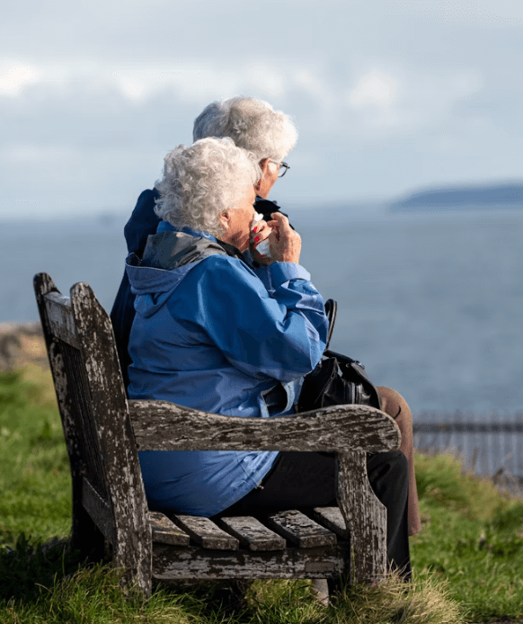 60대 이상 영양제 추천: 활기찬 노년 위한 맞춤 영양소!