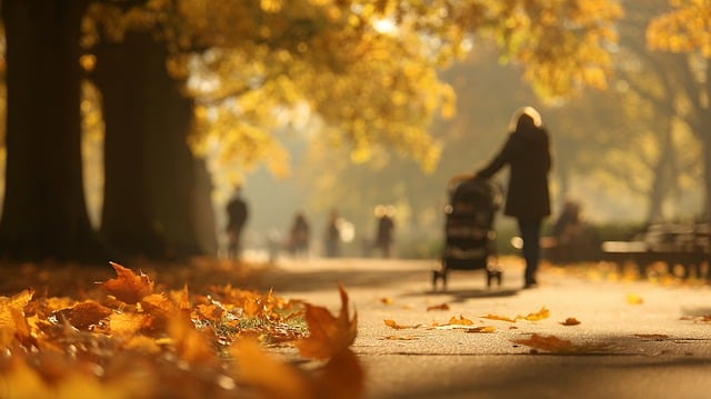 건강보험공단 걷기지원금 12만원 100% 받는 법