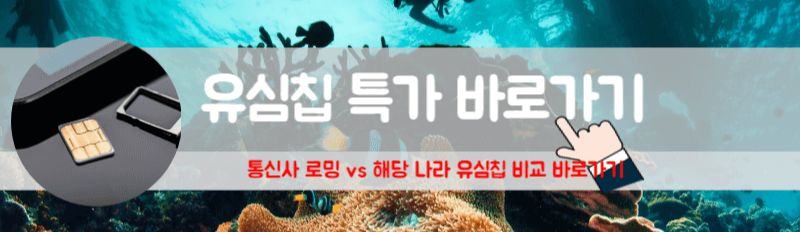 세부 유심칩 필리핀 세부 유심 필리핀 유심 구매 필리핀 보홀 유심 인천공항 필리핀 유심 보라카이 유심칩 말톡 유심 필리핀 필리핀 유심칩 사용방법