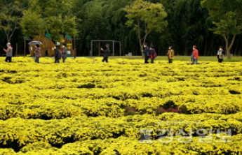 태화강 국가정원 가을축제 안내 주차장 개막식 프로그램 정보