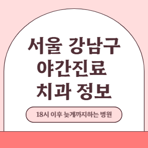 서울 강남구 야간진료 치과 병원 (18시 이후 늦게까지하는 병원)