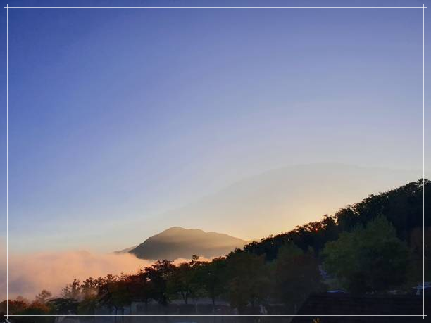 숲나들e_휴양림_예약방법1