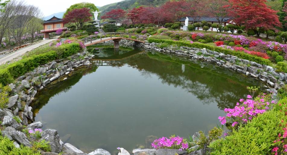 제천시 경제활력지원금 20만원 신청방법