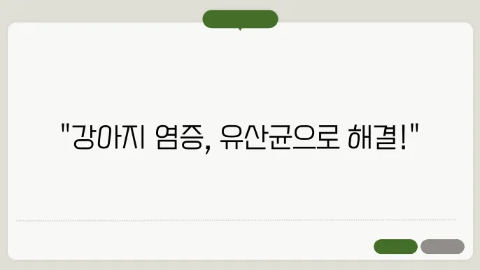 유산균으로 강아지 염증 잡기, 성공 사례는?