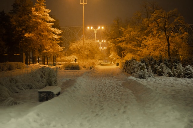 기상청 대설특보 발령 실시간 확인 필수 가이드