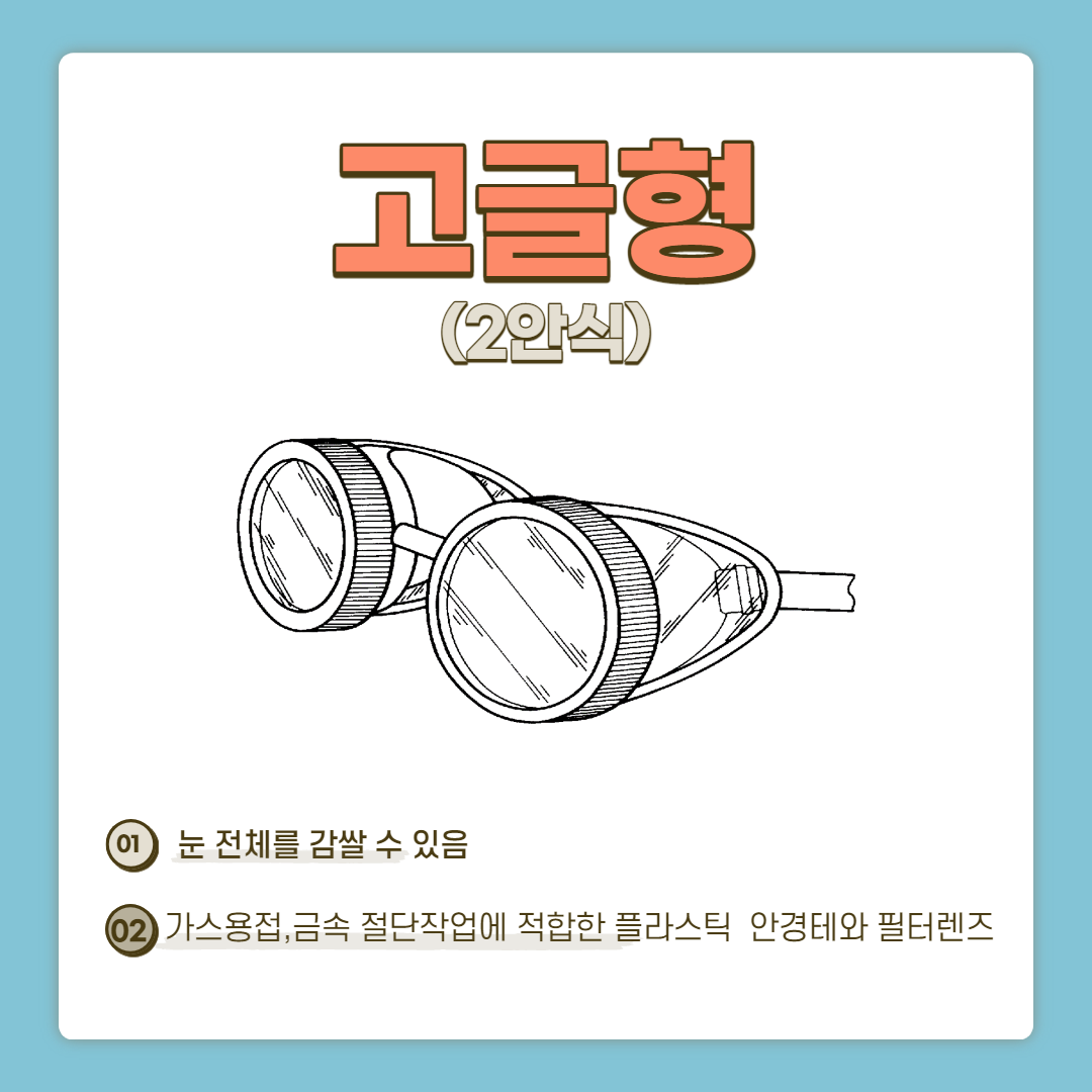 고글형(2안식)