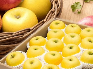 2024 홍천 사과축제 일정 프로그램