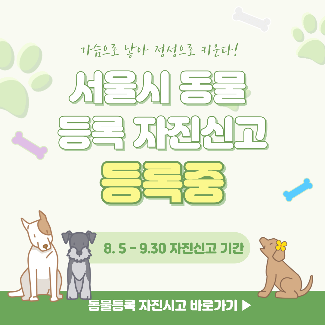 서울시 동물 등록 자진 신고 안내 알아보기