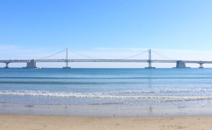 1월 부산 가볼만한곳 추천 ❘ 새해 신년 국내 겨울 여행지 명소 ❘ 가족 실내 데이트