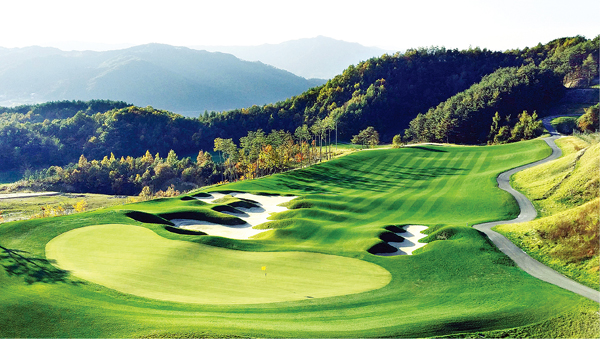 켄터키 블루그라스(Kentucky Bluegrass) 가장 이상적인 양잔디