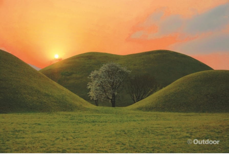 경주 벚꽃축제 벚꽃명소 벚꽃마라톤 대회