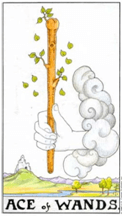 Ace of Wands