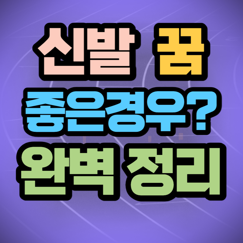 신발 꿈해몽
