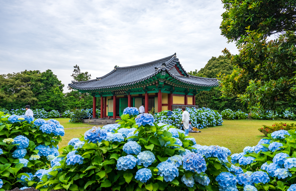 제주 동쪽 가볼만한곳 (혼인지)