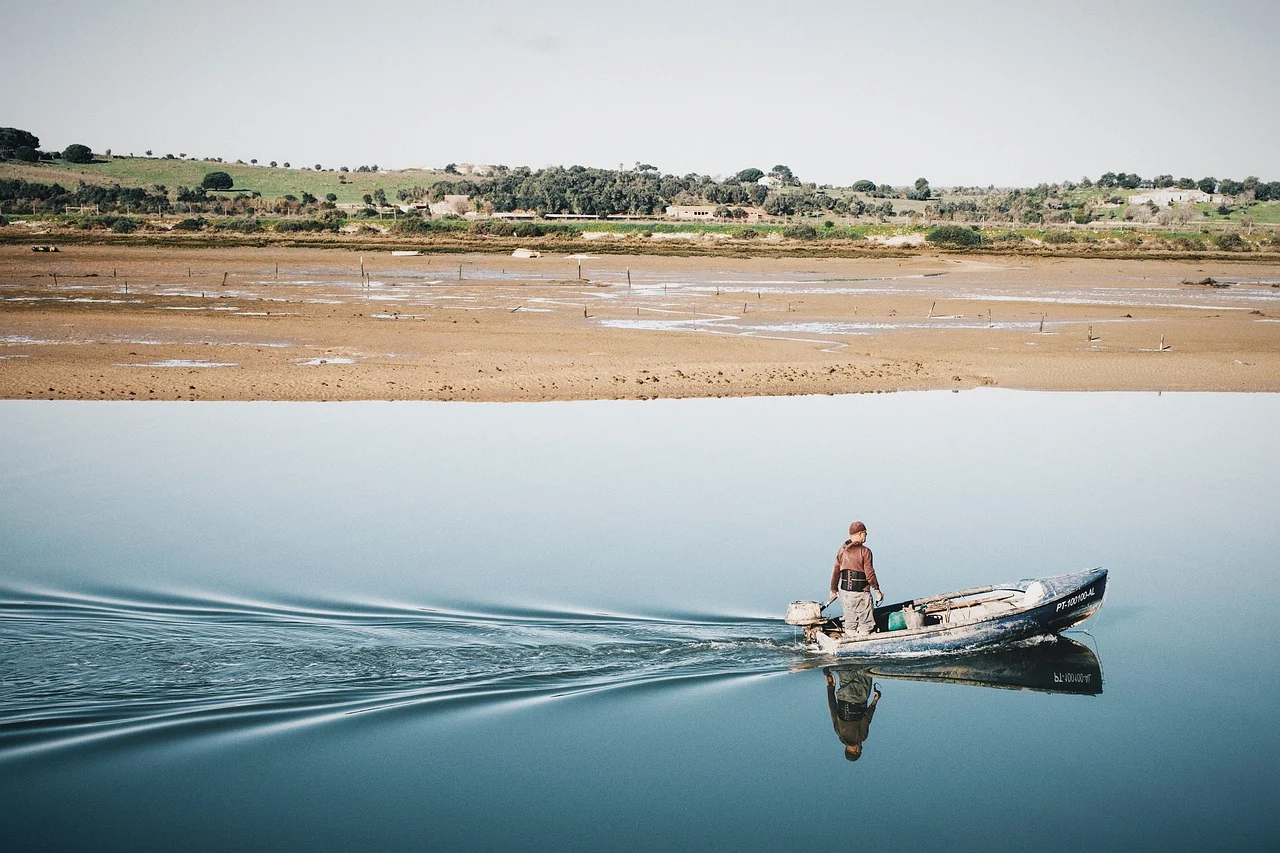 제31편 판단 오류를 줄이기 위한 인지 설계와 의사결정 개선 전략: 우리는 더 나은 판단을 할 수 있는가