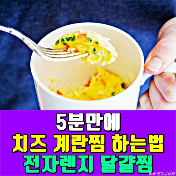 치즈 계란찜 전자렌지로 맛있게 하는 방법, 달걀찜, 레시피, 건강, 팁줌마 매일꿀정보