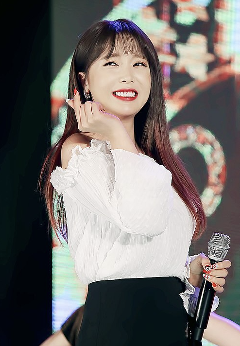 홍진영 프로필2