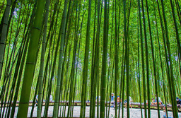 단풍여행 1박2일 버스여행 단풍구경