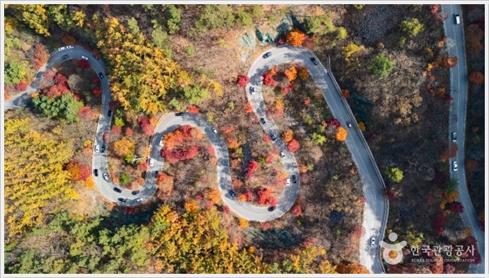 지역단풍명소 단양 보말재