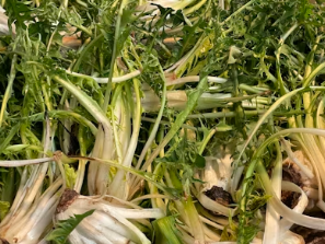 천연 여성 보약 쑥: 혈액 순환 돕는 쑥차 끓이는 법 &amp; 체질별 부작용 가이드