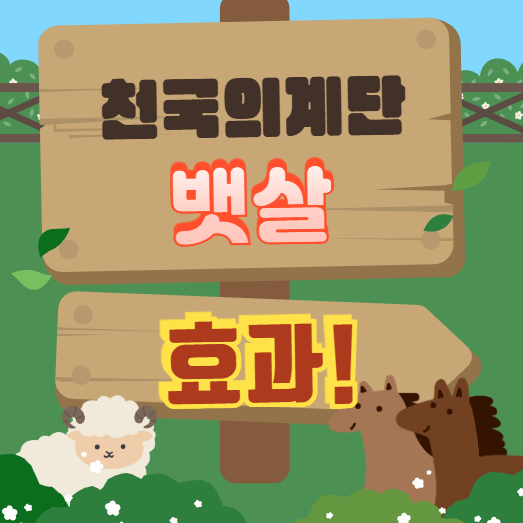 천국의계단[스텝퍼] 다이어트로 복부 지방까지 태울 수 있을까?