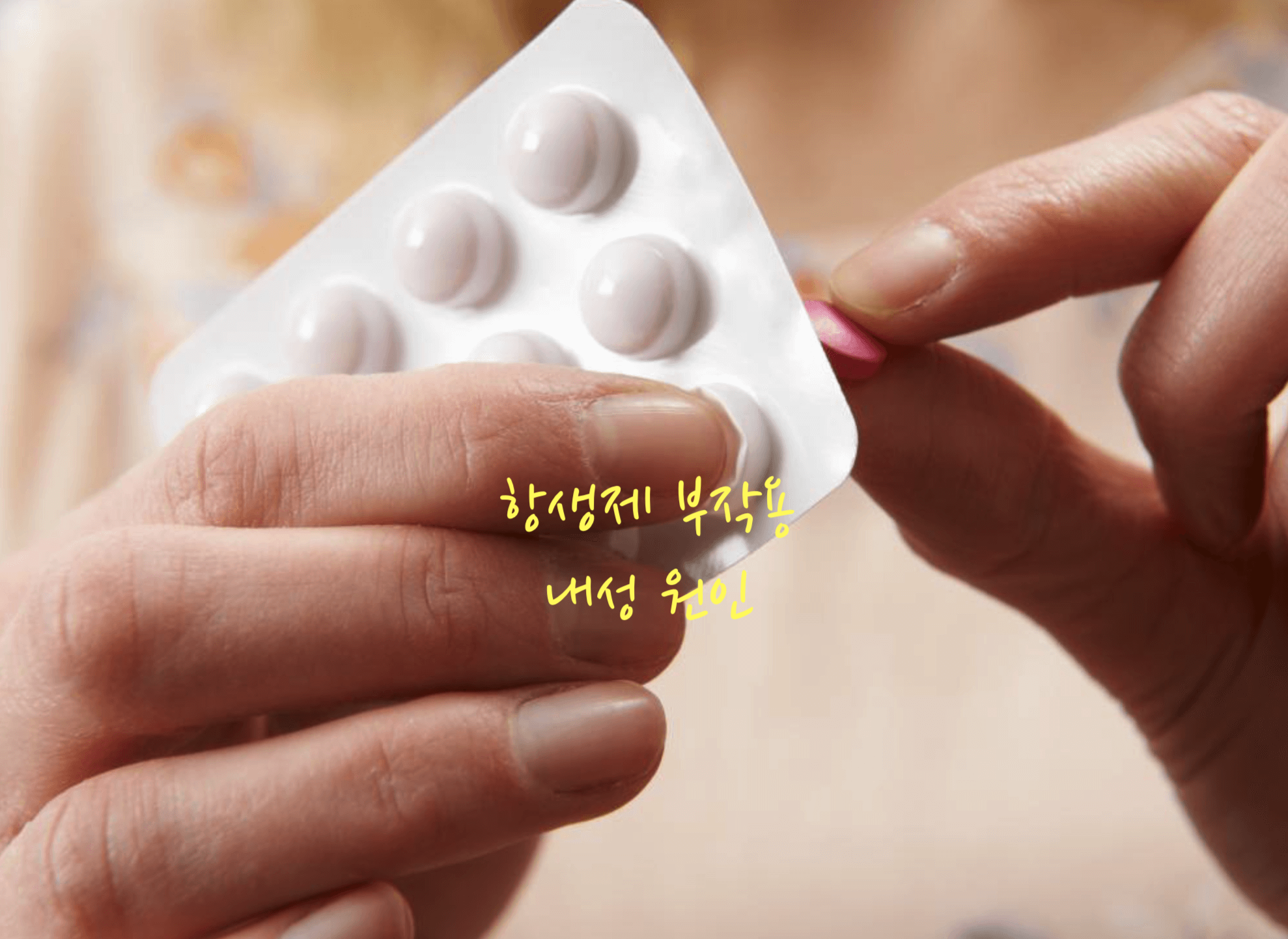 항생제 내성
