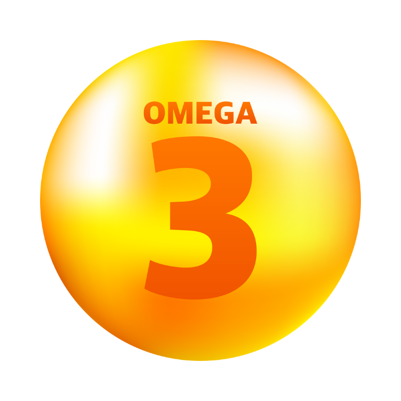 오메가 3 추천