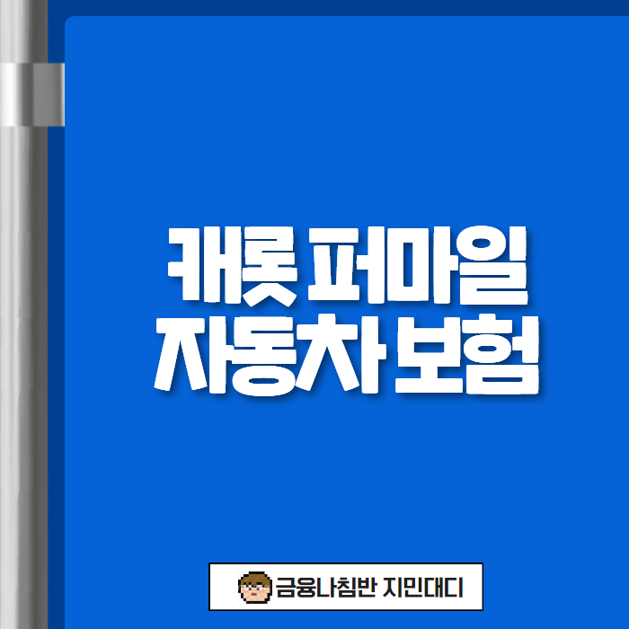 캐롯 퍼마일 자동차 보험 다이렉트 01