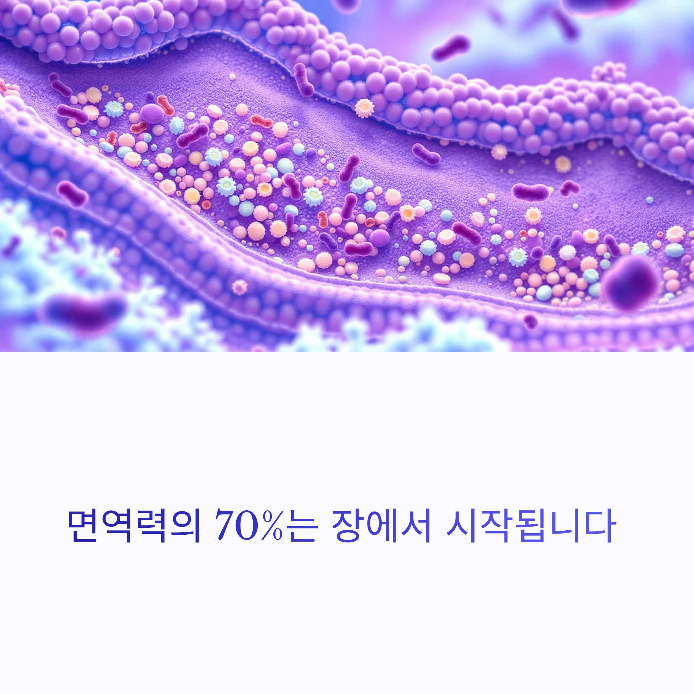 면역의 70%는 장에서 시작된다