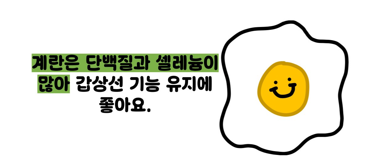 갑상선 기능 저하증 좋은 음식