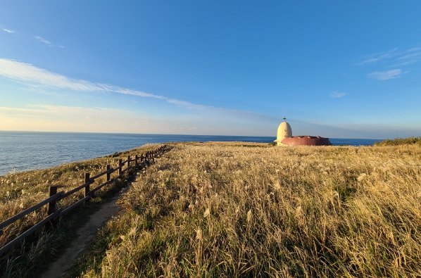 가을여행/11월/제주/감성/여행지