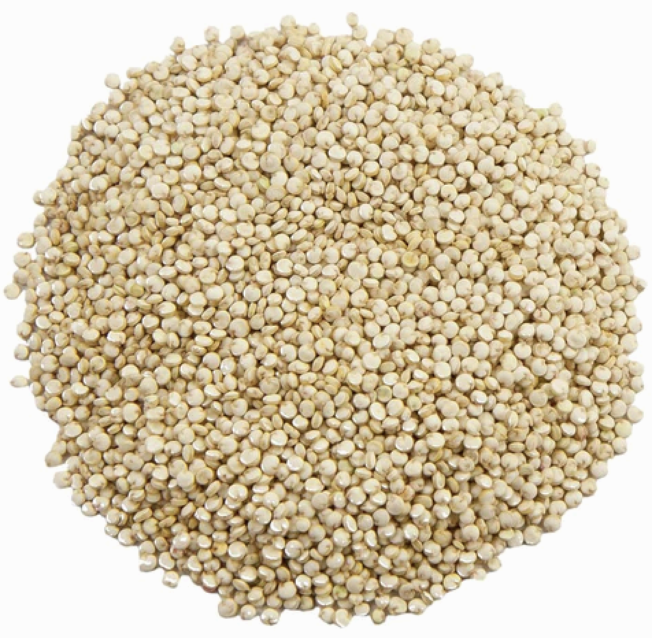 단백질이 풍부한 식물성 식품 6가지 비건 단백질