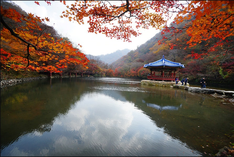 내장산우화정