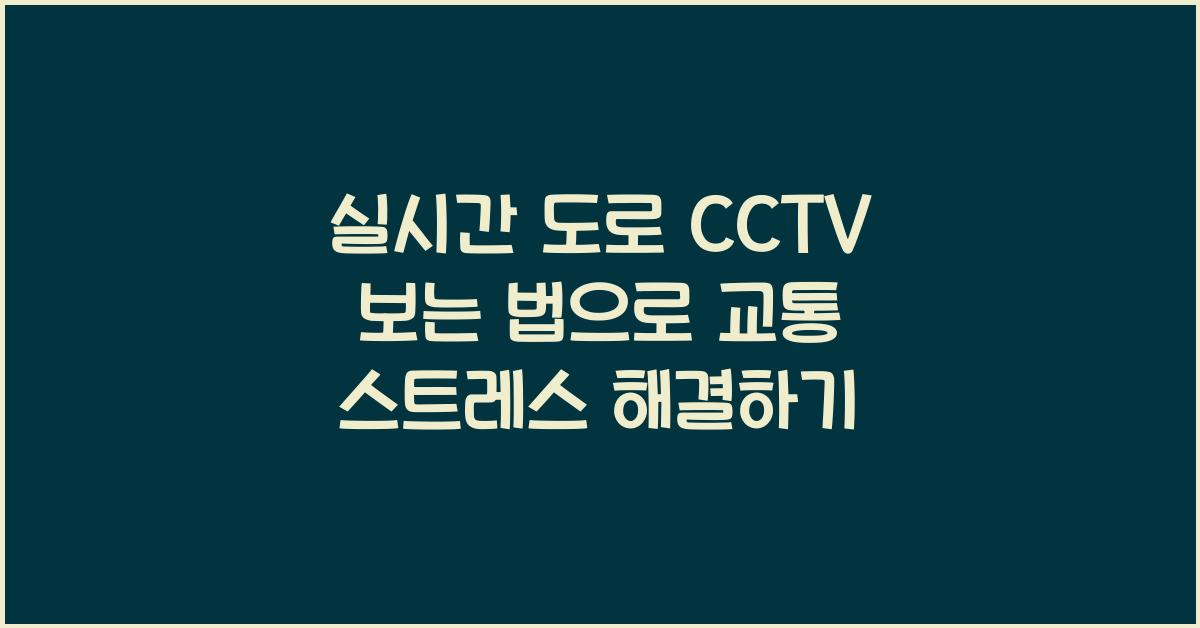 실시간 도로 cctv 보는 법