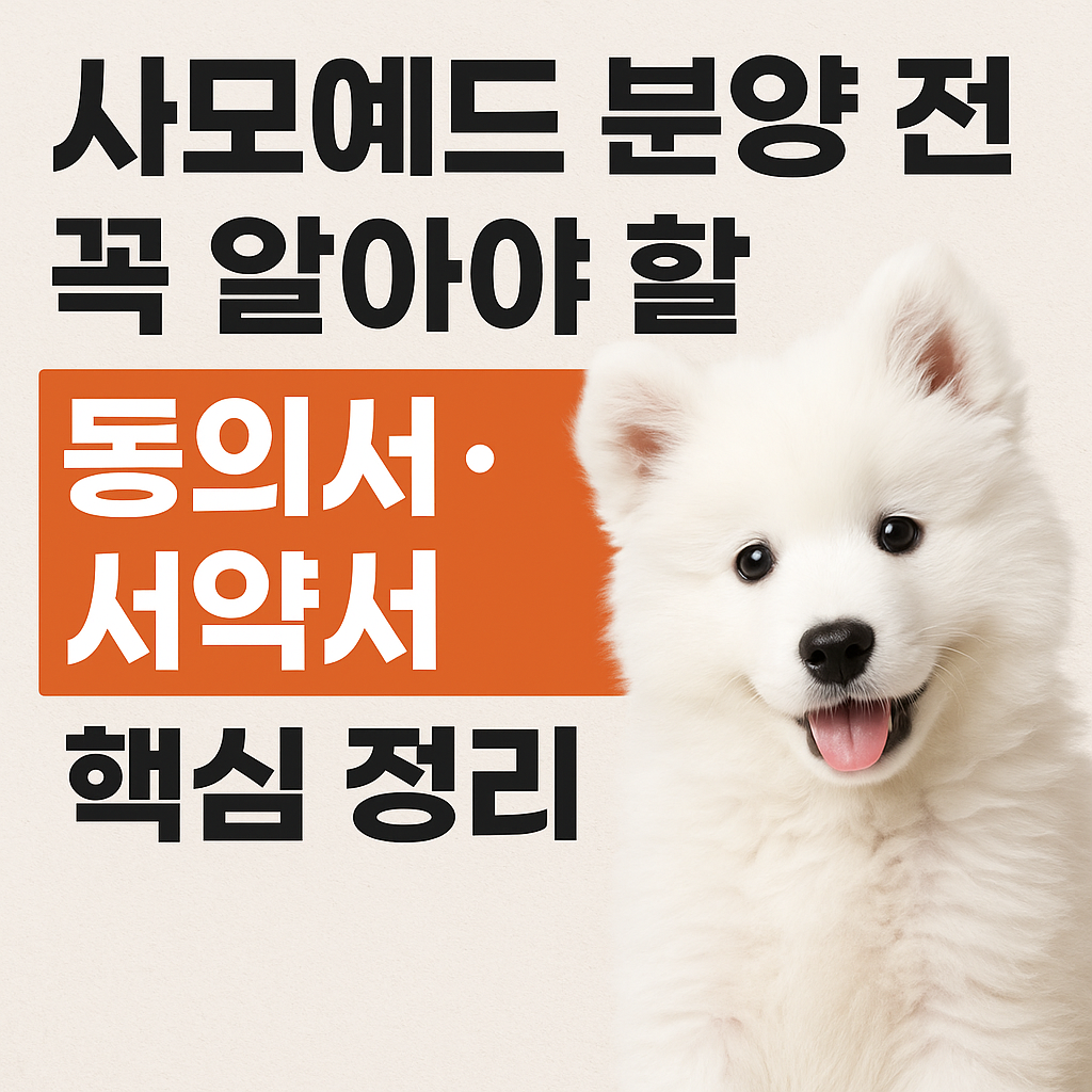 사모예드 분양
