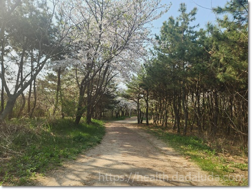 영종도 둘레길 1코스 건강백년길 주차장