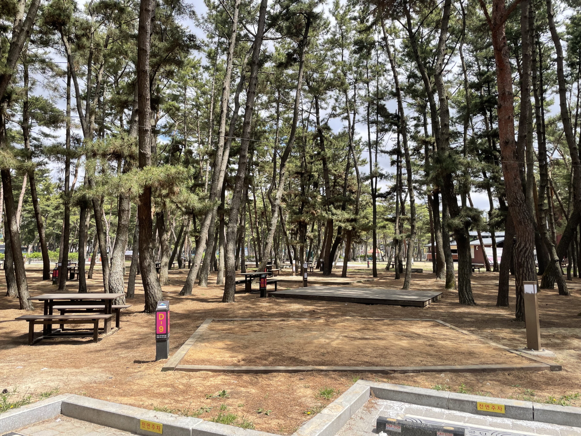 몽산포자동차야영장