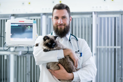 수의사와 고양이.