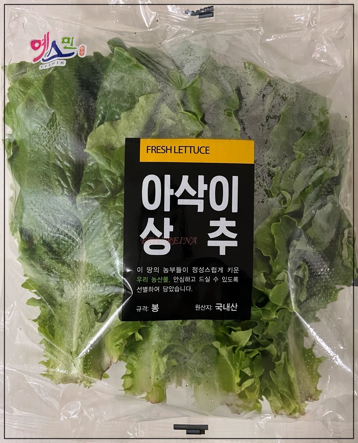 노브랜드-아삭이상추