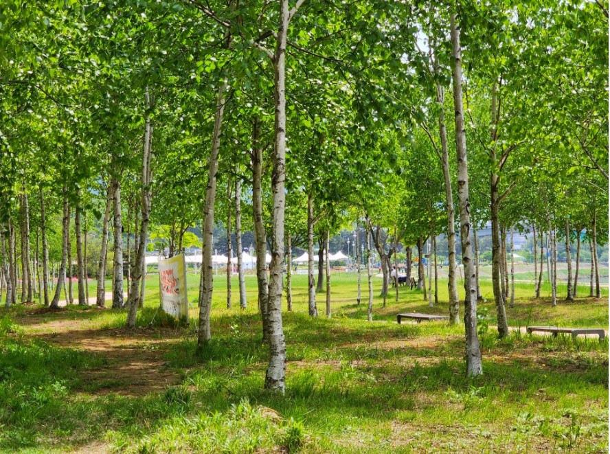 남양주-덕소삼패공원-사진