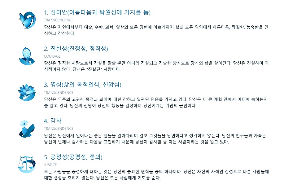 VIA 성격 강점 검사 결과 상위 강점 예시